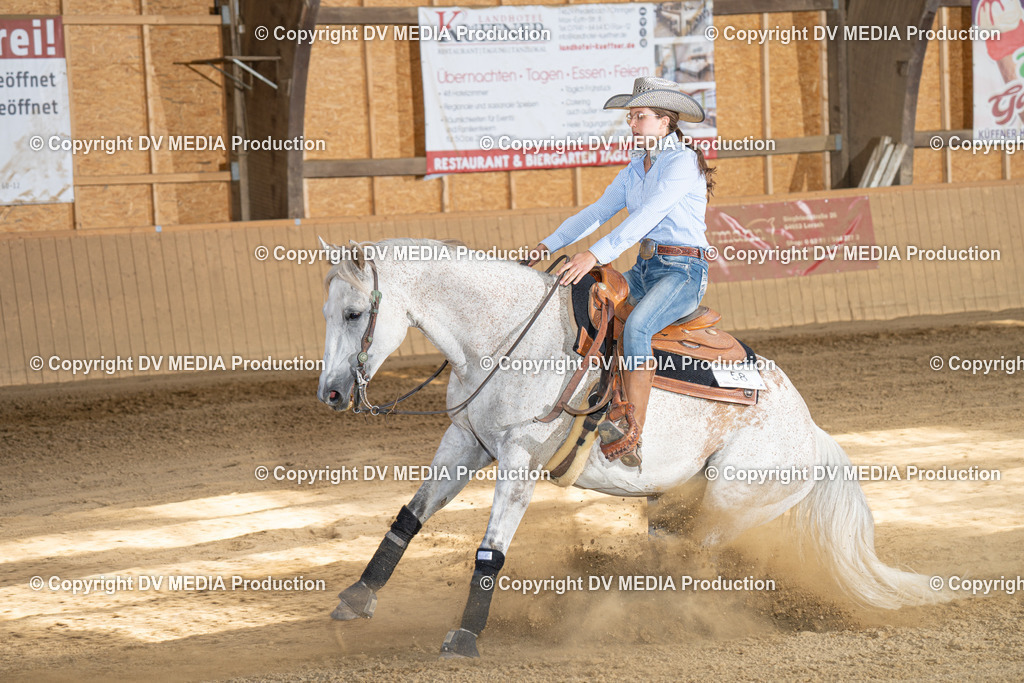 DSC00186 | dv-media-shop - Realisiert mit Pictrs.com