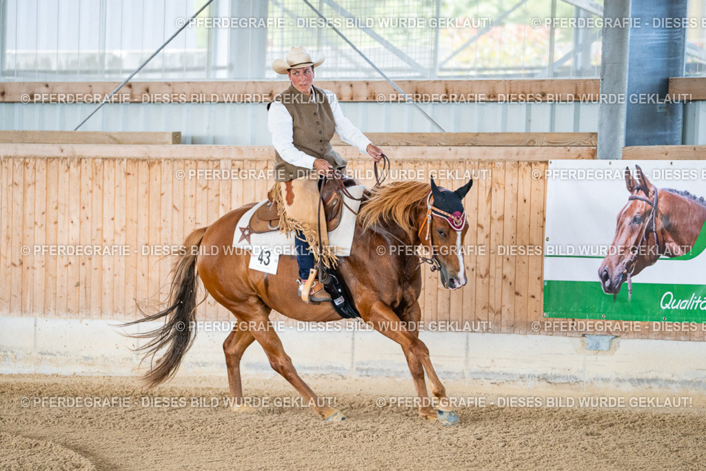 DSC01647 | Pferdegrafie