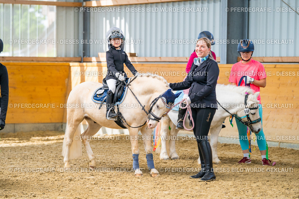 DSC00771 | Pferdegrafie