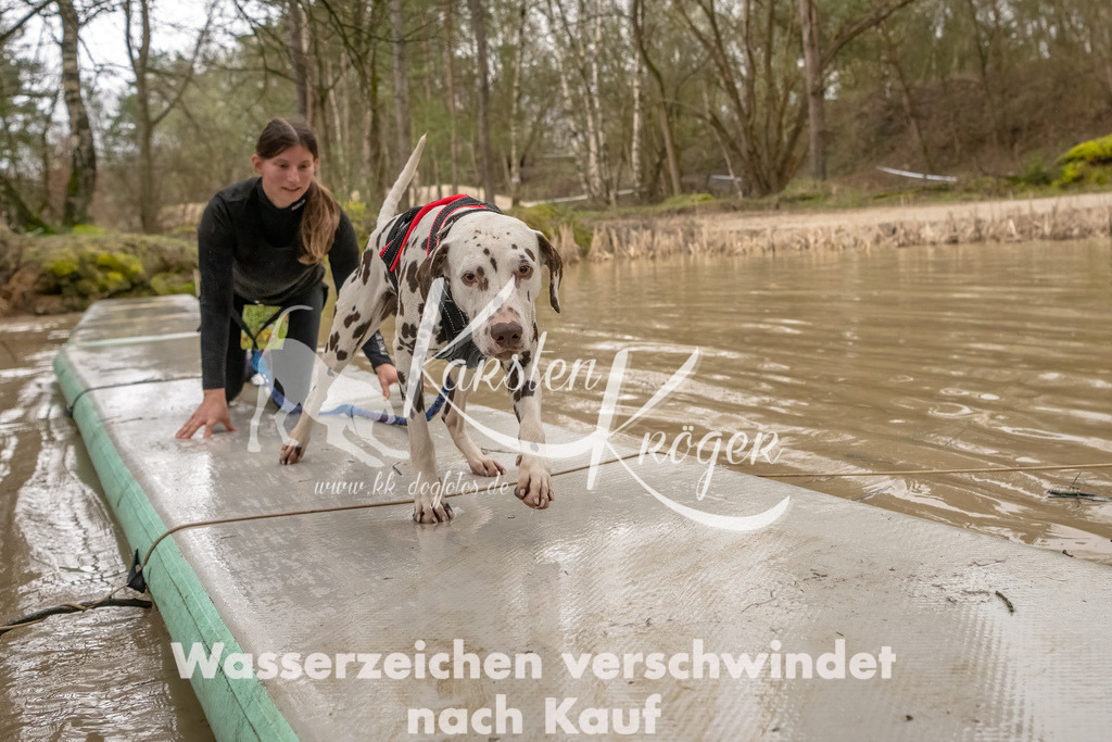 0900_ZZ90075-Bearbeitet | kk-dogfotos