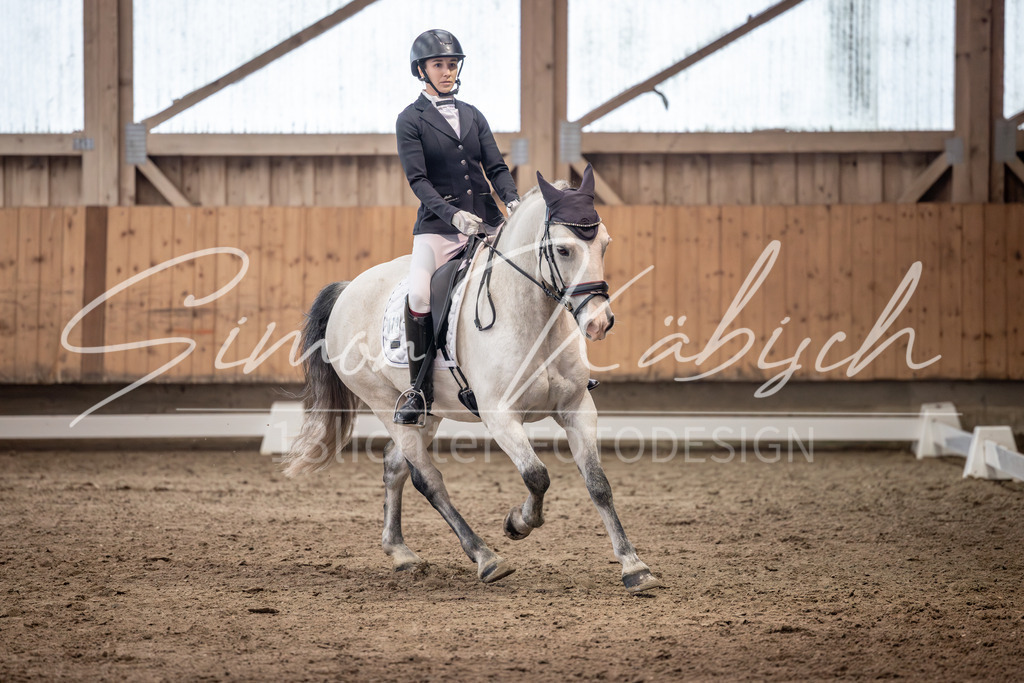 20251011-_3LI0586 | Tierfotografie Pferde, Hunde, Katzen, Haustiere.
Turnierfotografie Reitturniere, Reiten, Springreiten, Dressur in Hanau, dem Main-Kinzig-Kreis und dem Rhein-Main- Gebiet um Frankfurt