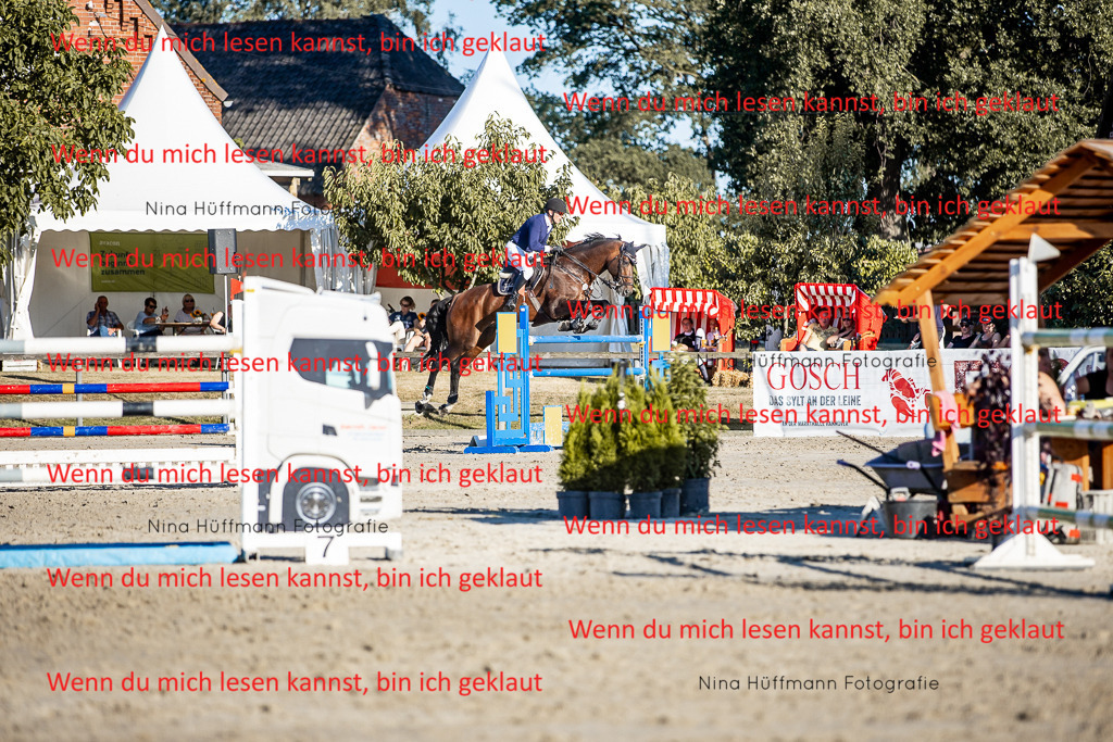 BK1A8358 | Turnierbilder Turnierfotos Nina Hüffmann Turnierfotografie Pferdefotografie Tierzeichnung Haustierzeichnung Pferdezeichnung Hundezeichnung Videograf  - Realisiert mit Pictrs.com