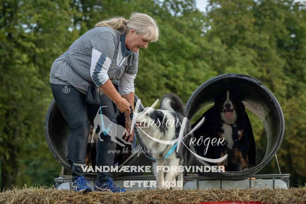 1100_ZZ93574 | kk-dogfotos