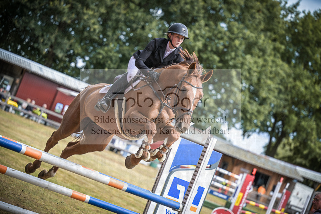 DOS_0031 | Entdecke hochwertige Reitturnierfotos von Foto Oger. Professionell, emotional und authentisch – jetzt Lieblingsmomente im Shop bestellen.Deutschlandweite Turnierfotografie. - Realisiert mit Pictrs.com