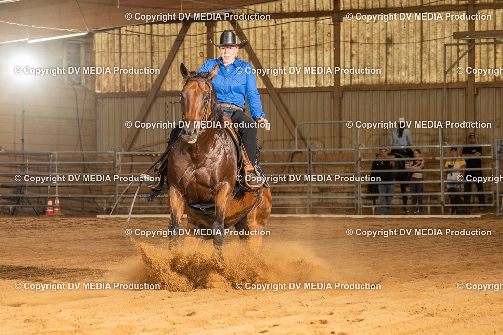 NID02190 | dv-media-shop - Realisiert mit Pictrs.com