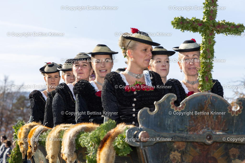 LBT24-1248 | foto-bettina-krinner - Realisiert mit Pictrs.com