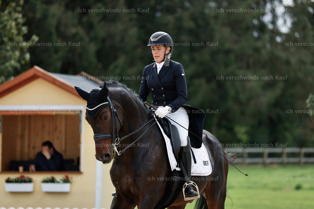 11-007-Dressur S___-StoibPH-1098 | working equitationturnier fotograf videograf stoibphotography marixx film working equitation deutschland reitsport turnierfotografie eventfotografie equestrian events