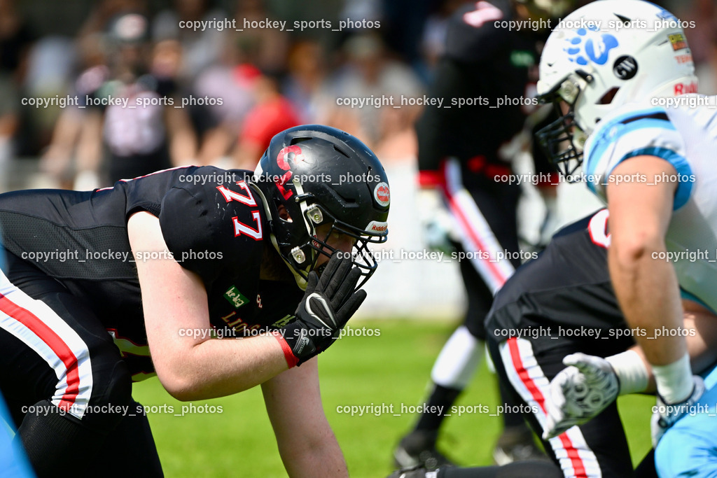 Carinthian Lions vs. Styrian Bears | Carinthian Lions vs. Styrian Bears, Carinthian Lions vs. Styrian Bears am 20.05.2024 in Klagenfurt (ASV Sportplatz), Austria, (Photo by Bernd Stefan)