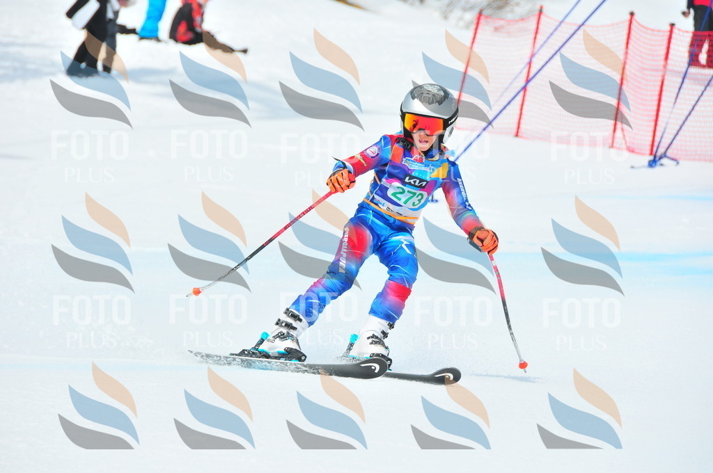 DSC_2541 | holidayphoto