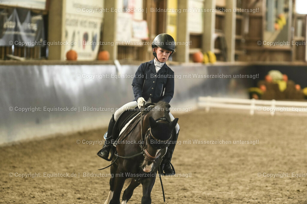 20231029_02_Reiter-WB_Schritt-Trab-Galopp_Abteilung-03_0013 | Foto: Thomas Hartig