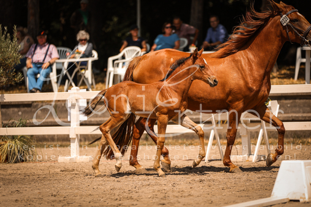 03.DoAB00056 | Leoni Ertmer Photography - Realisiert mit Pictrs.com