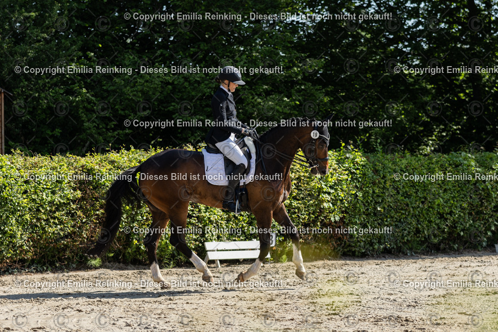 CL5A7090 | Emilia Reinking Fotografie - Realisiert mit Pictrs.com