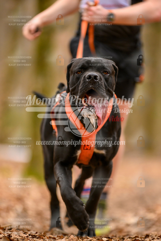 MompixPhotography_Habay2025_SA_CCC-295 | PayLife