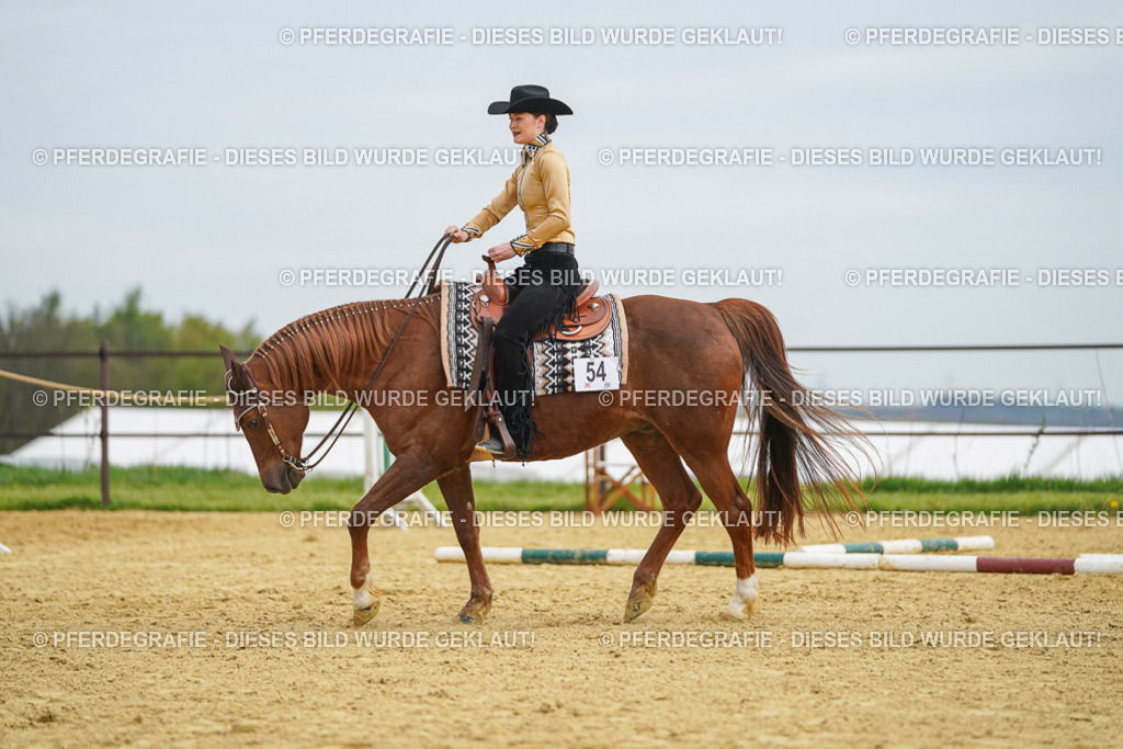 DSC03327 | Pferdegrafie