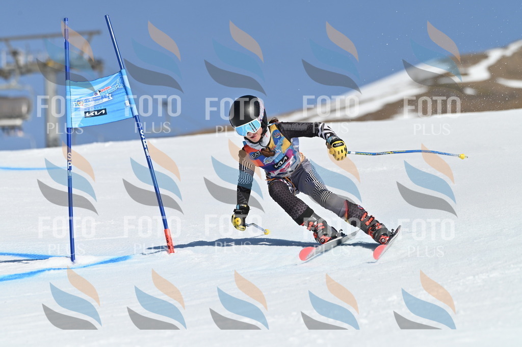 BGV_8098 | holidayphoto