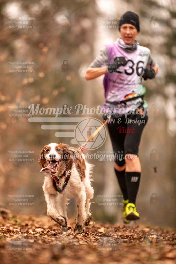 AKM_ST_2023_SAM_Run-86 | PayLife