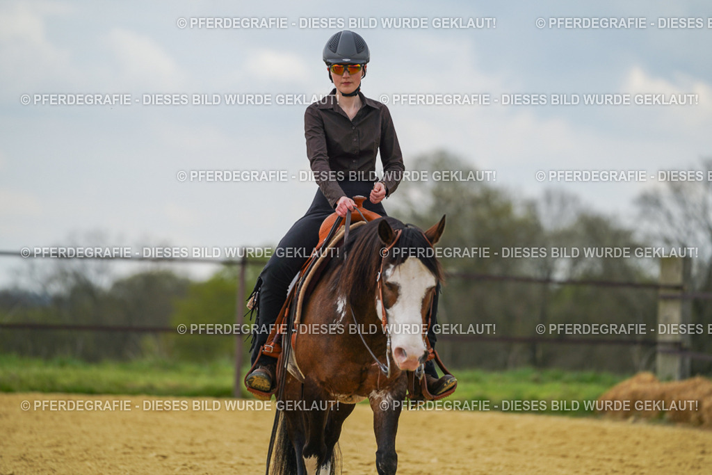 DSC06703 | Pferdegrafie