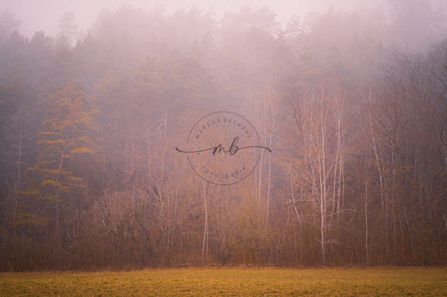 Wald im Nebel | Professionelle Natur- & Landschaftsfotos als Poster, auf Leinwand & viele mehr. Wähle aus einer Vielzahl an Formaten & Materialien Dein perfektes Bild. - Realisiert mit Pictrs.com