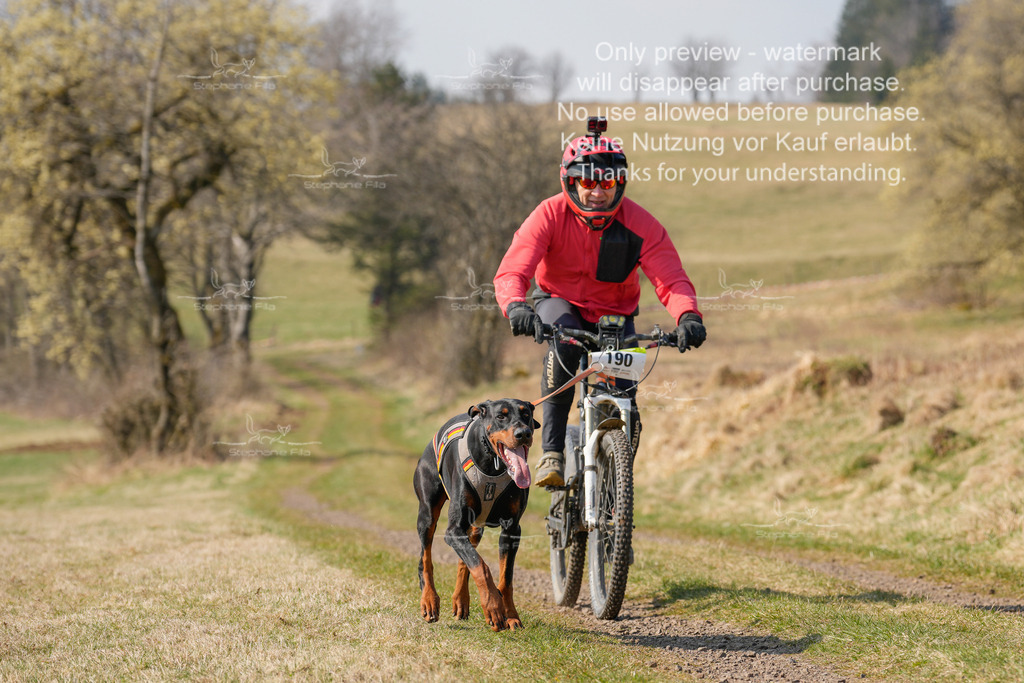 Bike_Lang-114 | stephaniefillaphotographie - Realisiert mit Pictrs.com
