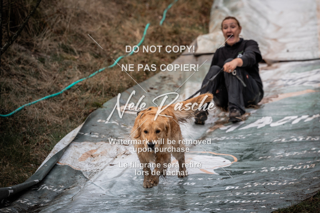 nelerasche_1330-1400_131 | nelerasche