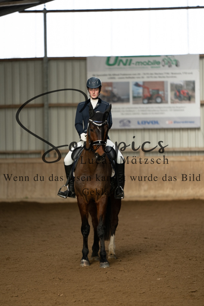 A7V05287 | Pferdefotograf