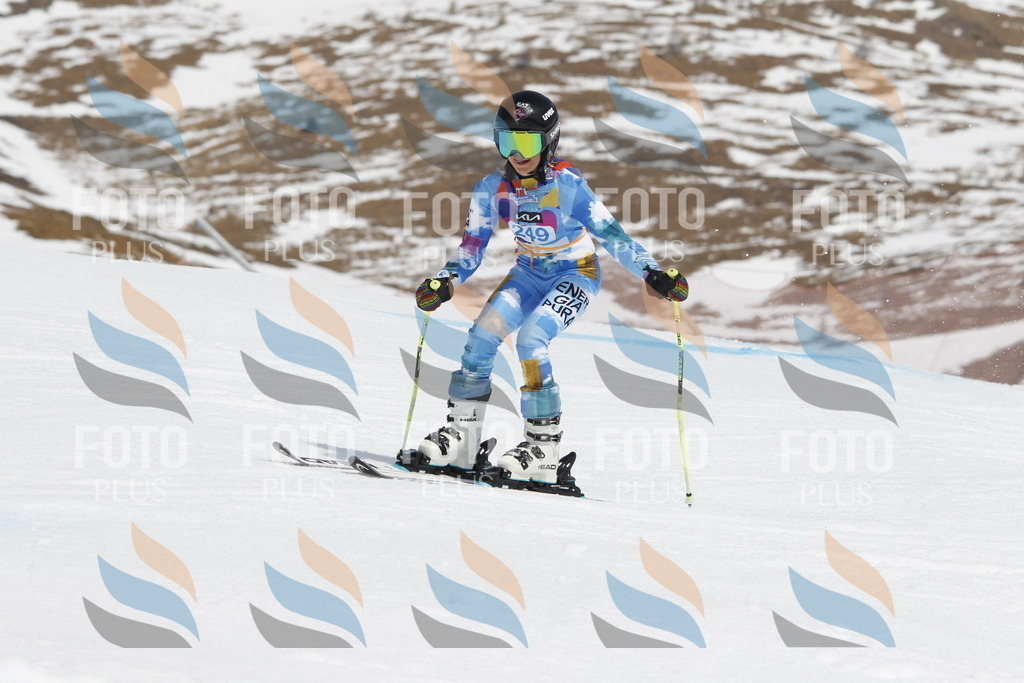 _U3G2868 | holidayphoto