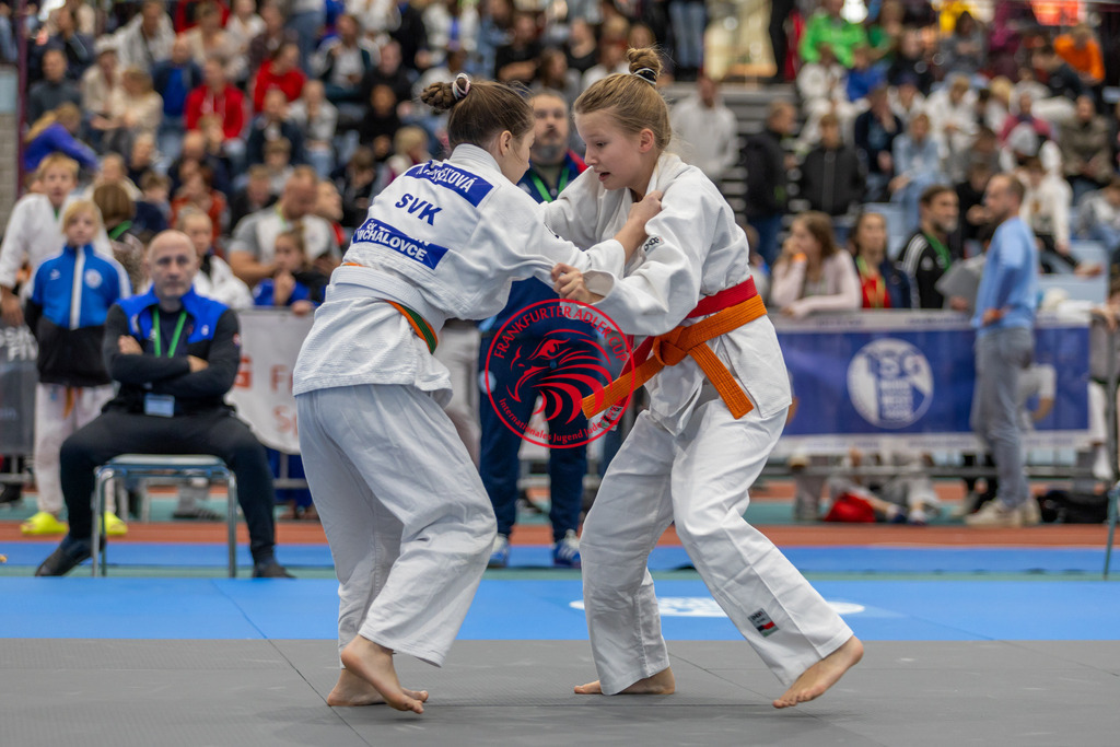 Internationaler Adler Cup 2024 | Foto vom Internationalen Adler Cup Judo Turnier im Sport- und Freizeitzentrum Kalbach im Oktober 2024 - Realisiert mit Pictrs.com