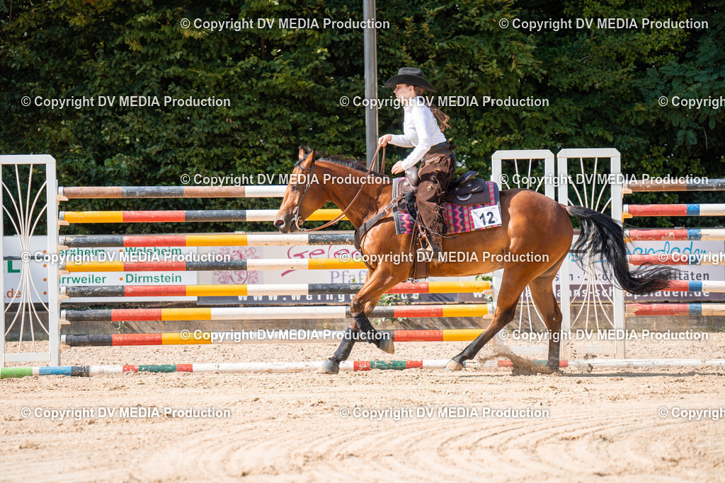 ZH100247 | dv-media-shop - Realisiert mit Pictrs.com