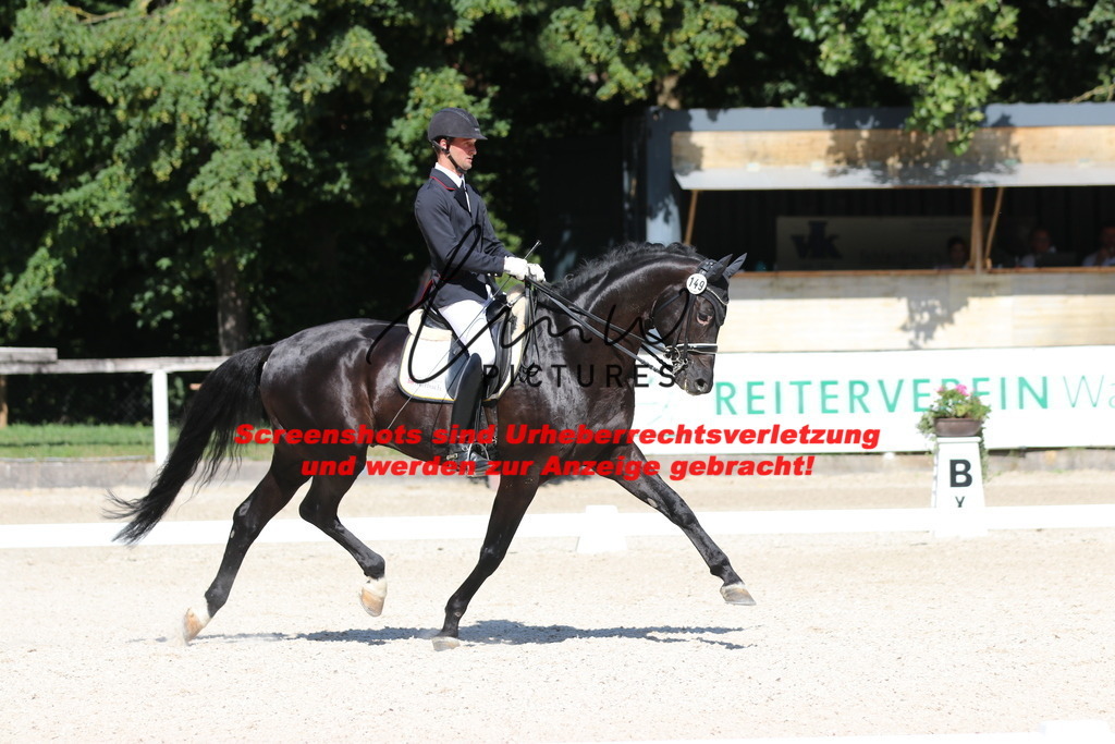 IMG_5430 | lmwpictures - Realisiert mit Pictrs.com