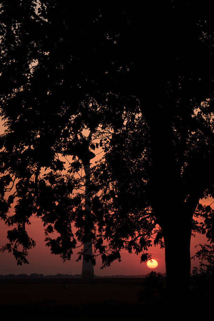 Sonnentuntergang II | kleinen-fotografie