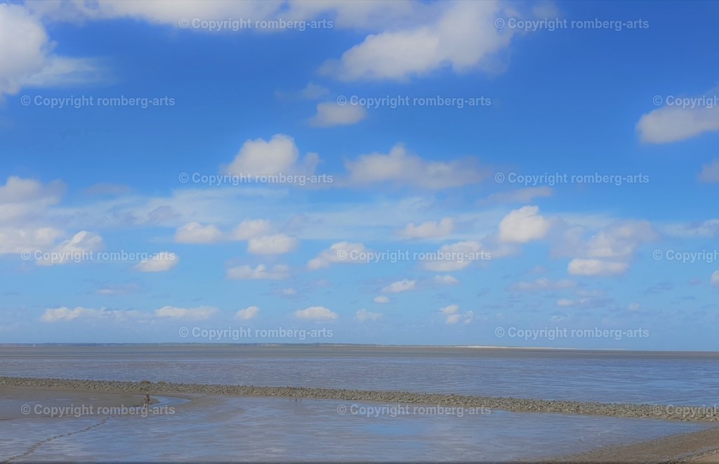 20190528_134913 (6) | Nordsee, Watt, Mensch im Watt, Wattwanderung
