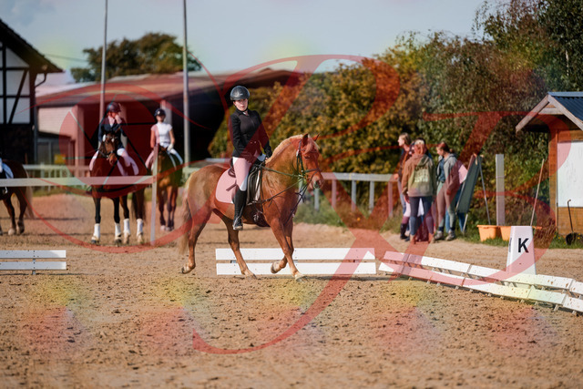 2026_10_03_Siefer-Hof_122042_Z63_43776633 | Professionelle Reitsport-, Turnier- und Eventfotografie von Robert Broda. Galerien mit ausgewählten und bearbeiteten Bildern direkt online ansehen und bestellen.