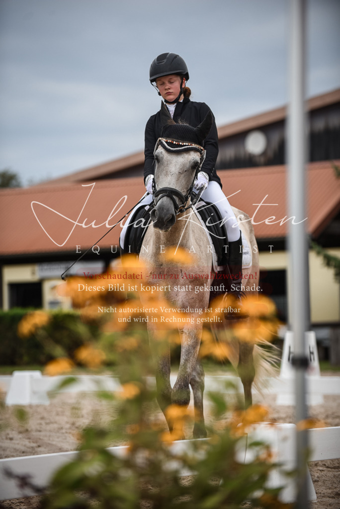 DSC_8220 | Pferde- und Turnierfotografie in Westsachsen. Pferdeportraits, Auftragszeichnungen und intuitive Kunst.