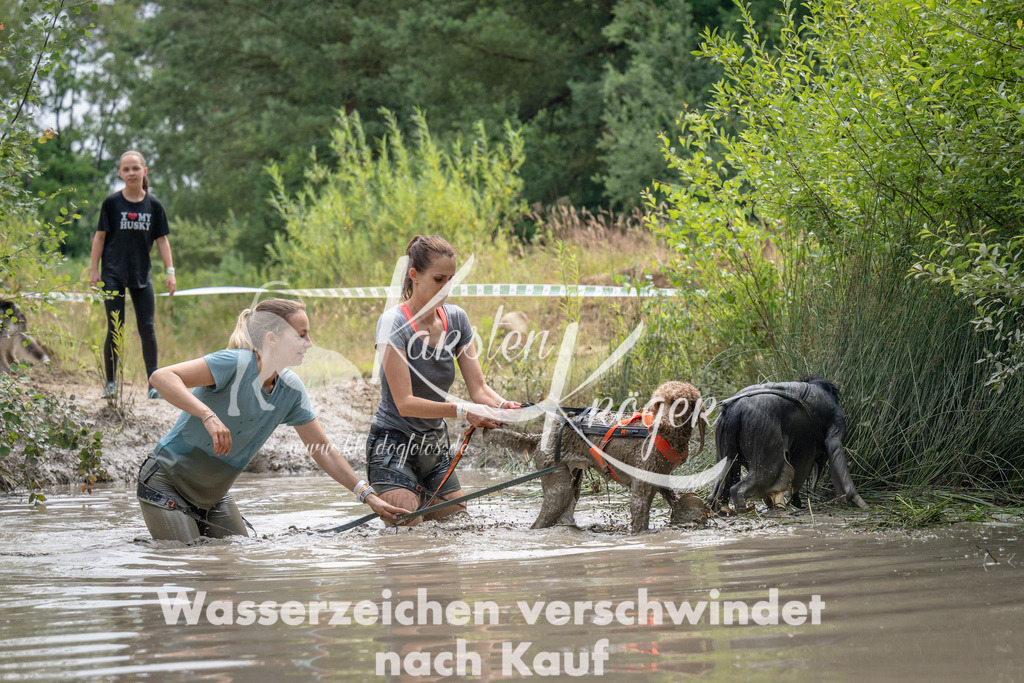 1457_ZZ94524 | kk-dogfotos