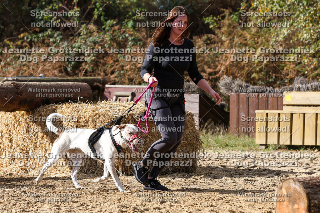 Dog Paparazzi - Strongdog 10-25-5124 | Dog Paparazzi Jeanette Grottendiek Fotografie & Videografie - Realisiert mit Pictrs.com