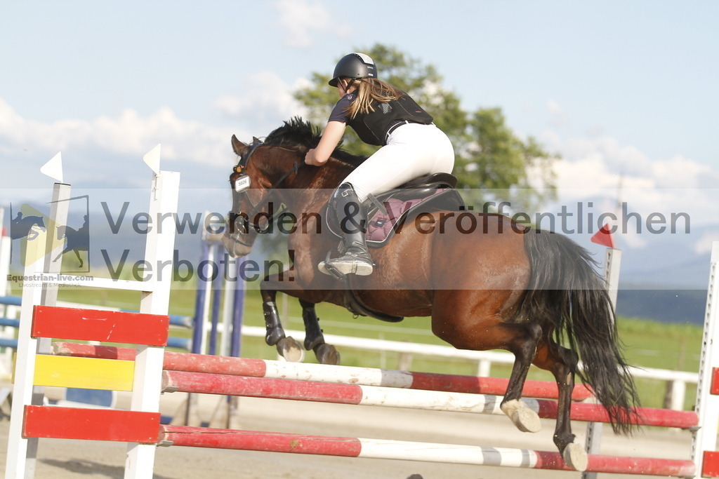 _MG_4176 | equestrian-live-com