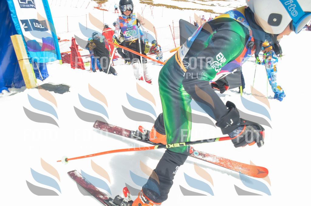 _ELE6857 | holidayphoto