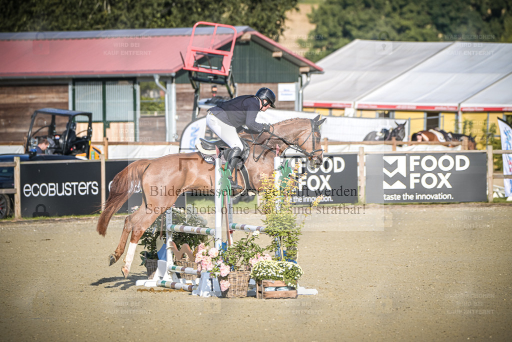 DOS_7439 | Entdecke hochwertige Reitturnierfotos von Foto Oger. Professionell, emotional und authentisch – jetzt Lieblingsmomente im Shop bestellen. - Realisiert mit Pictrs.com