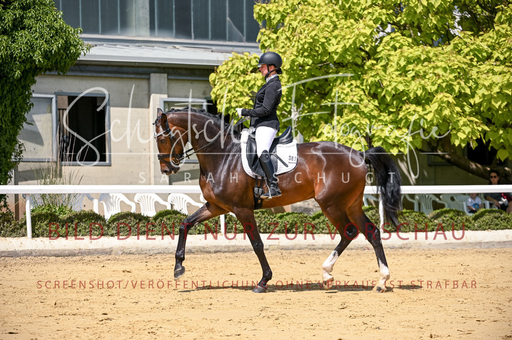 Schugtsche-Aluta25-49.Dressurpferdeprf.A-134 | Schugtsche Fotografie - Realisiert mit Pictrs.com