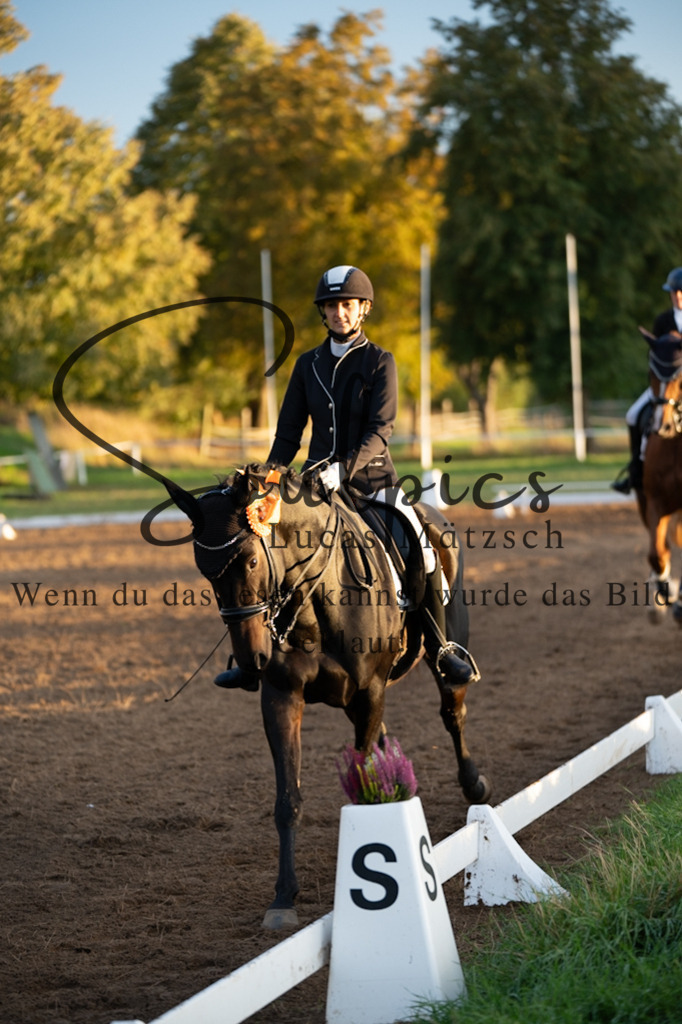 A7V06176 | Pferdefotograf