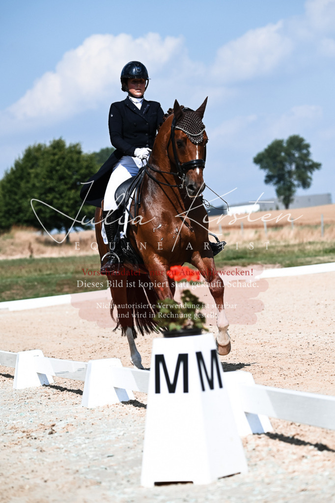 DSC_2837 | Pferde- und Turnierfotografie in Westsachsen. Pferdeportraits, Auftragszeichnungen und intuitive Kunst.