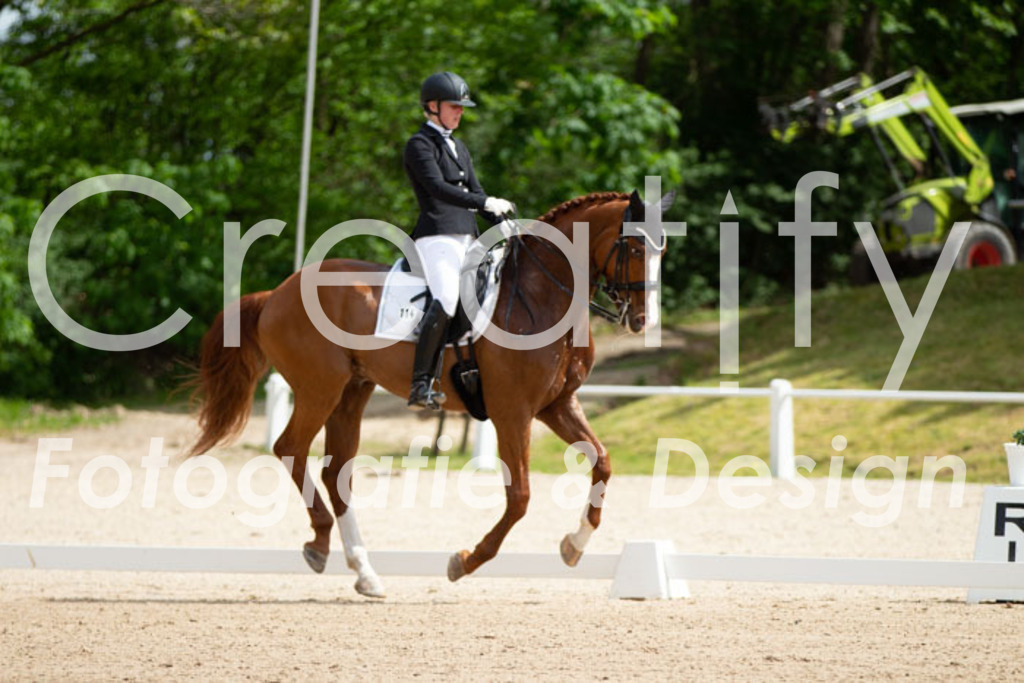 IMG_6442 | Creatify Fotografie