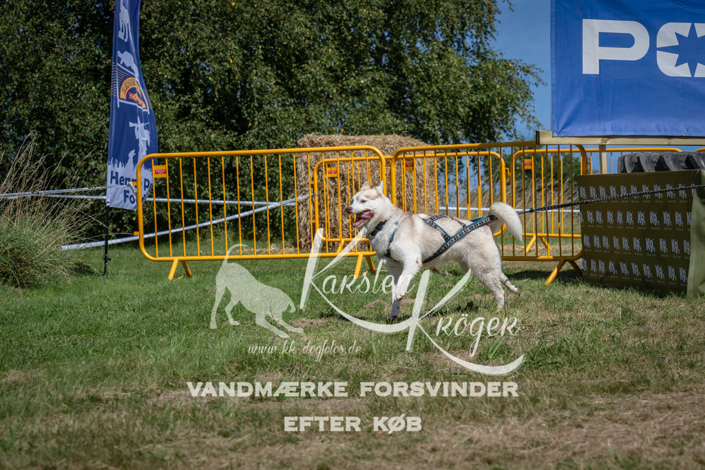 1259_ZZ97775 | kk-dogfotos