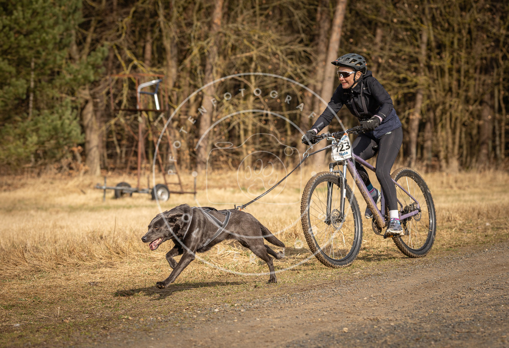 DV3A4447 | Hundefotografie, Tierfotograf, Pfotenfotografie, Fotoshooting Hund, Hunde Portrait, Hundesport, Hundeportraits, Heideshooting, Hunde, Sportfotograf, Hundefotograf, Turnierhundsport, THS,  - Realisiert mit Pictrs.com