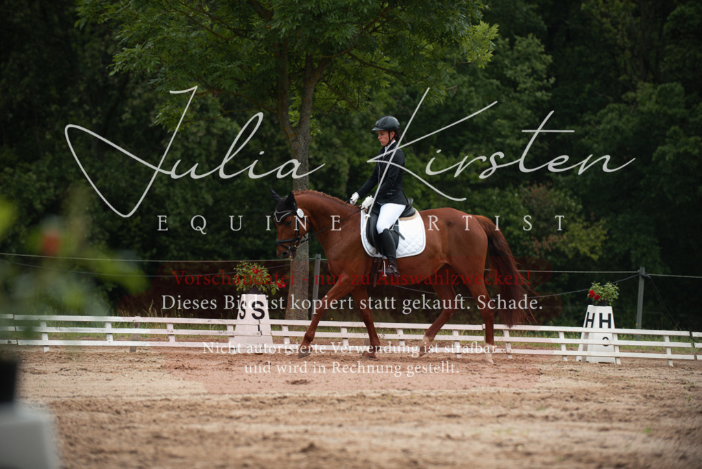 DSC_9802 | Pferde- und Turnierfotografie in Westsachsen. Pferdeportraits, Auftragszeichnungen und intuitive Kunst.