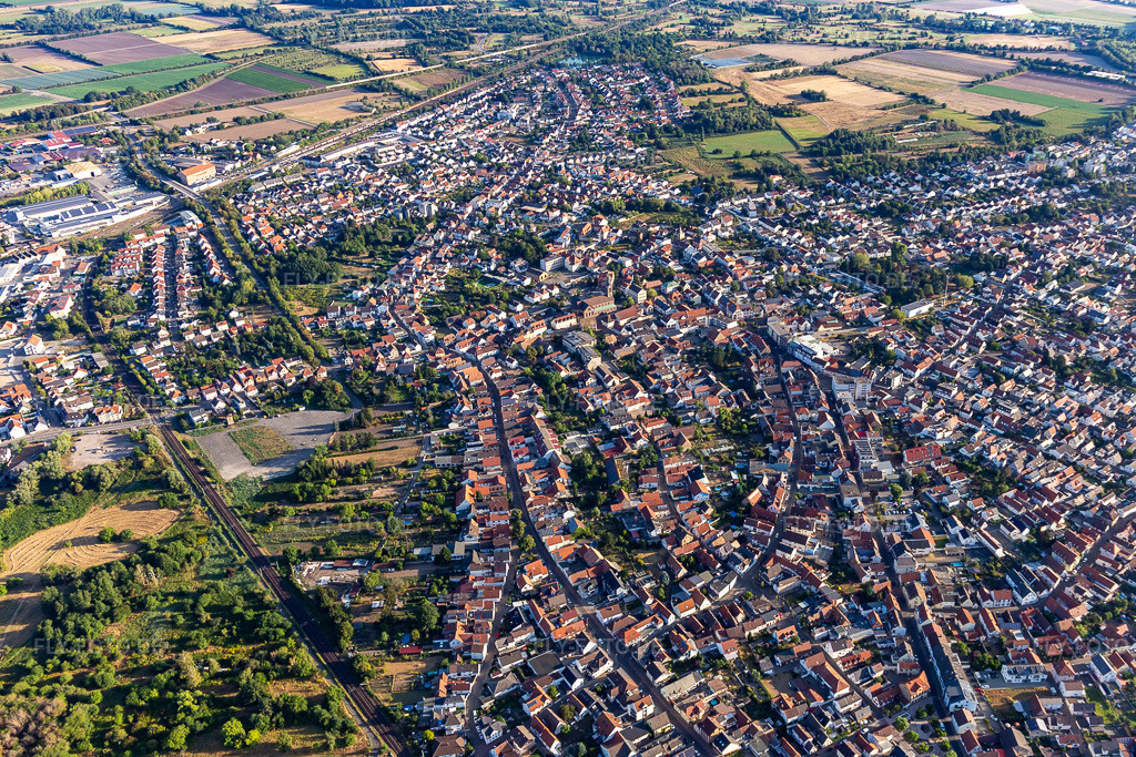 Luftbild:  in Schifferstadt im Bundesland Rheinland-Pfalz in Deutschland. – Foto: IMG_133909.jpg vom 21.08.2022 durch Werner Riehm/FLY-FOTO.de – Auflösung des Originals: 4780 x 3187 px – Stadtverwaltung Schifferstadt