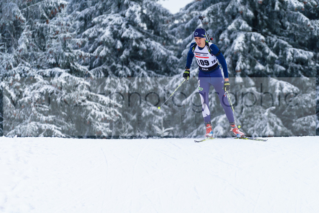 DP Oberwiesenthal | Alpencup/DP Deutschlandpokal in Oberwiesenthal am 15.-17.12.2023
