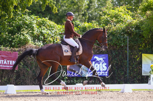 DKP41139 | Turniersportfotografie; Pferdefotografie; Dressurfotografie