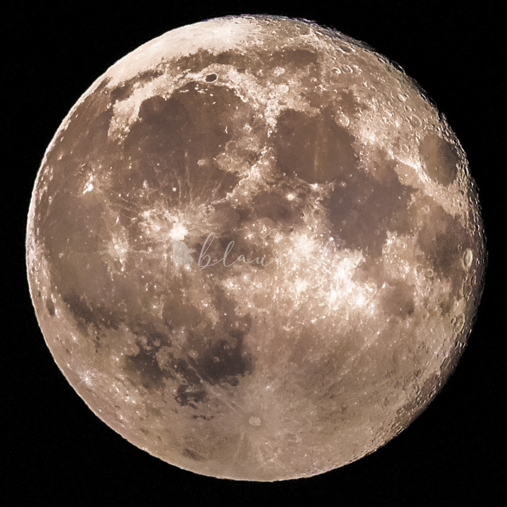 2J4A6861-3 | Sportbilder, Sportfotograf, Hochzeits- und Eventfotografin, Flugshows, Portraits und Tiershooting, Aviation, Downhill, Nationalleague, Swissleague, International