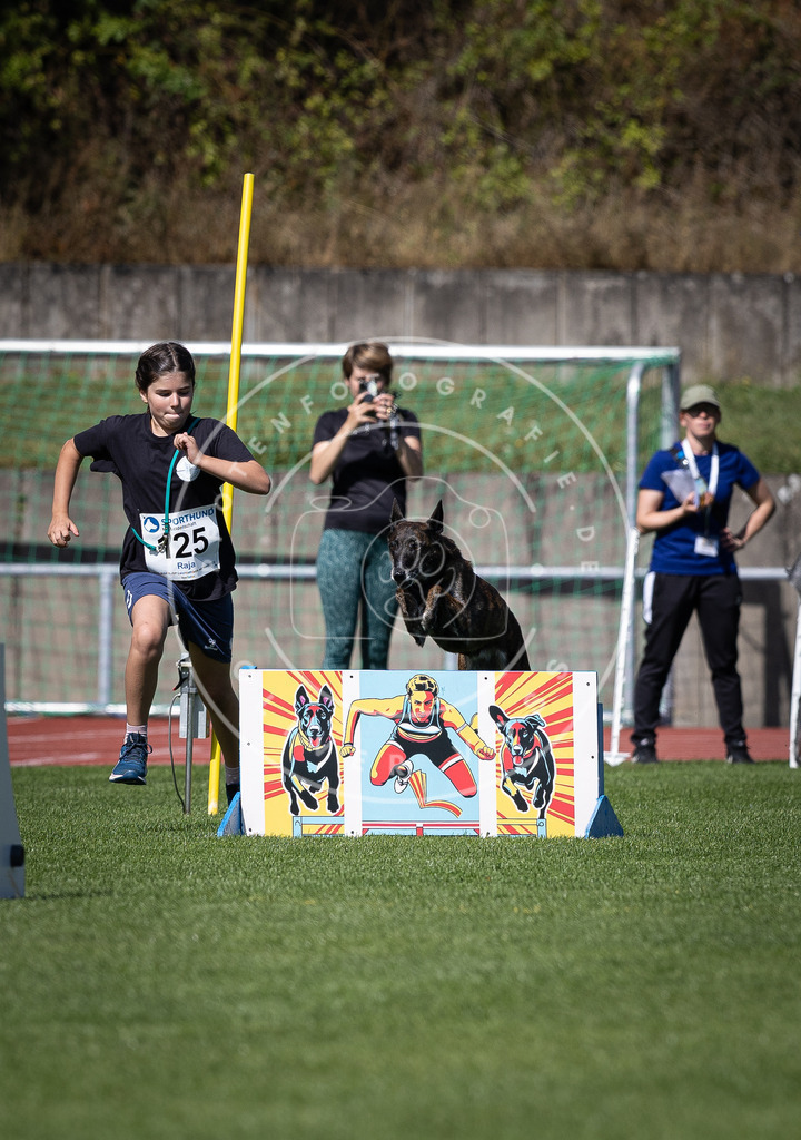 Pfotenfotografie_DV3A8595 | Hundefotografie, Tierfotograf, Pfotenfotografie, Fotoshooting Hund, Hunde Portrait, Hundesport, Hundeportraits, Heideshooting, Hunde, Sportfotograf, Hundefotograf, Turnierhundsport, THS,  - Realisiert mit Pictrs.com